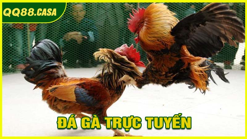 Công Nghệ Live Phát Trực Tuyến Sắc Nét